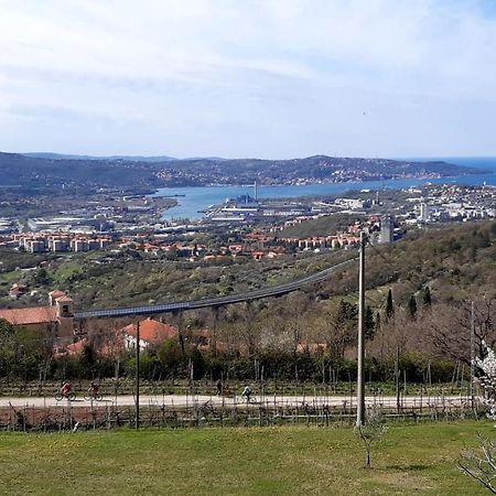 Bellavista Trieste San Dorligo della Valle Екстер'єр фото