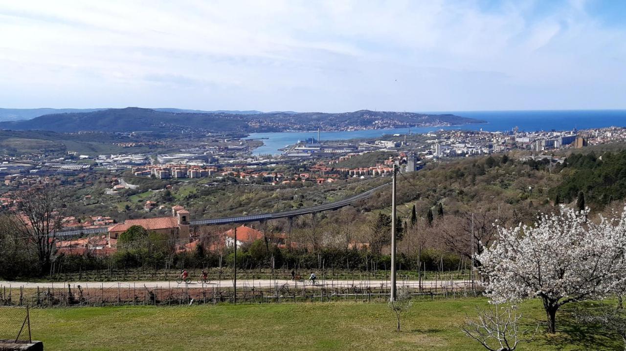 Bellavista Trieste San Dorligo della Valle Екстер'єр фото